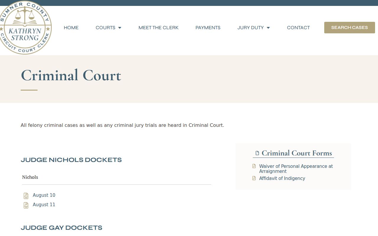 Sumner County Criminal Court case information page